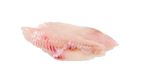 Fillet Rascasse fish